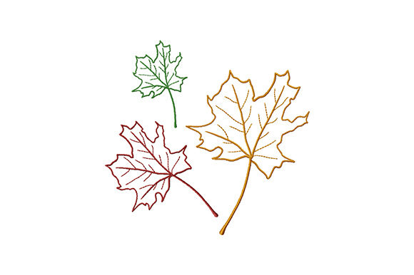 Three Colored Maple Leaves: A Designer's Autumn Review